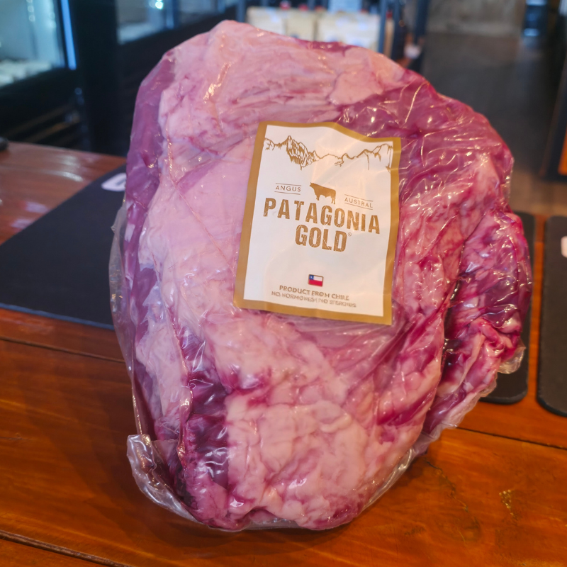 Tapabarriga Pieza Entera - Patagonia Gold