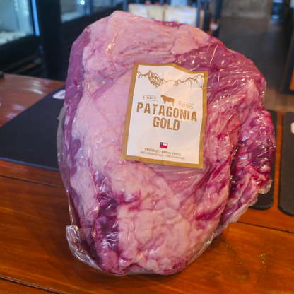 Tapabarriga Pieza Entera - Patagonia Gold